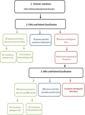 The diagnostic yield of CGH and WES in neurodevelopmental disorders